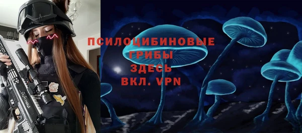 а пвп мука Каменногорск