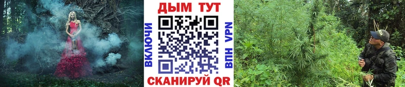 Купить закладки  Глазов  Каннабис LSD WEED 